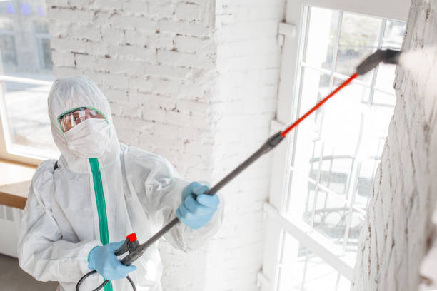 Woodfield, SC Mold Removal Company